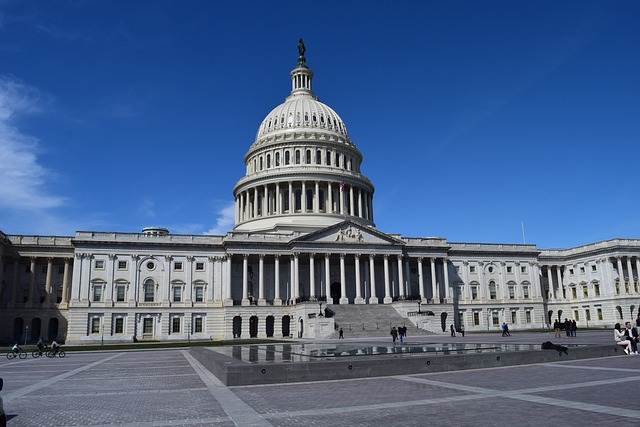 The Impact of Public Library Services on Environmental Policy