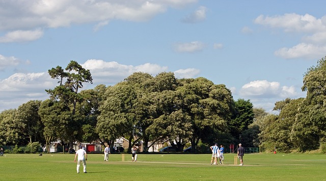 Investigating the Impact of IPL on Cricket Academies in India