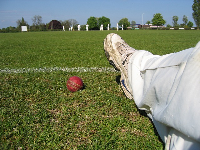 The Fair Play Spirit: Instances of Sportsmanship and Integrity in Cricket Matches