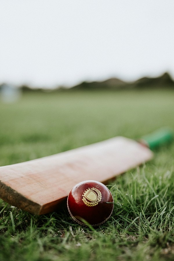 Understanding odds movement in cricket betting